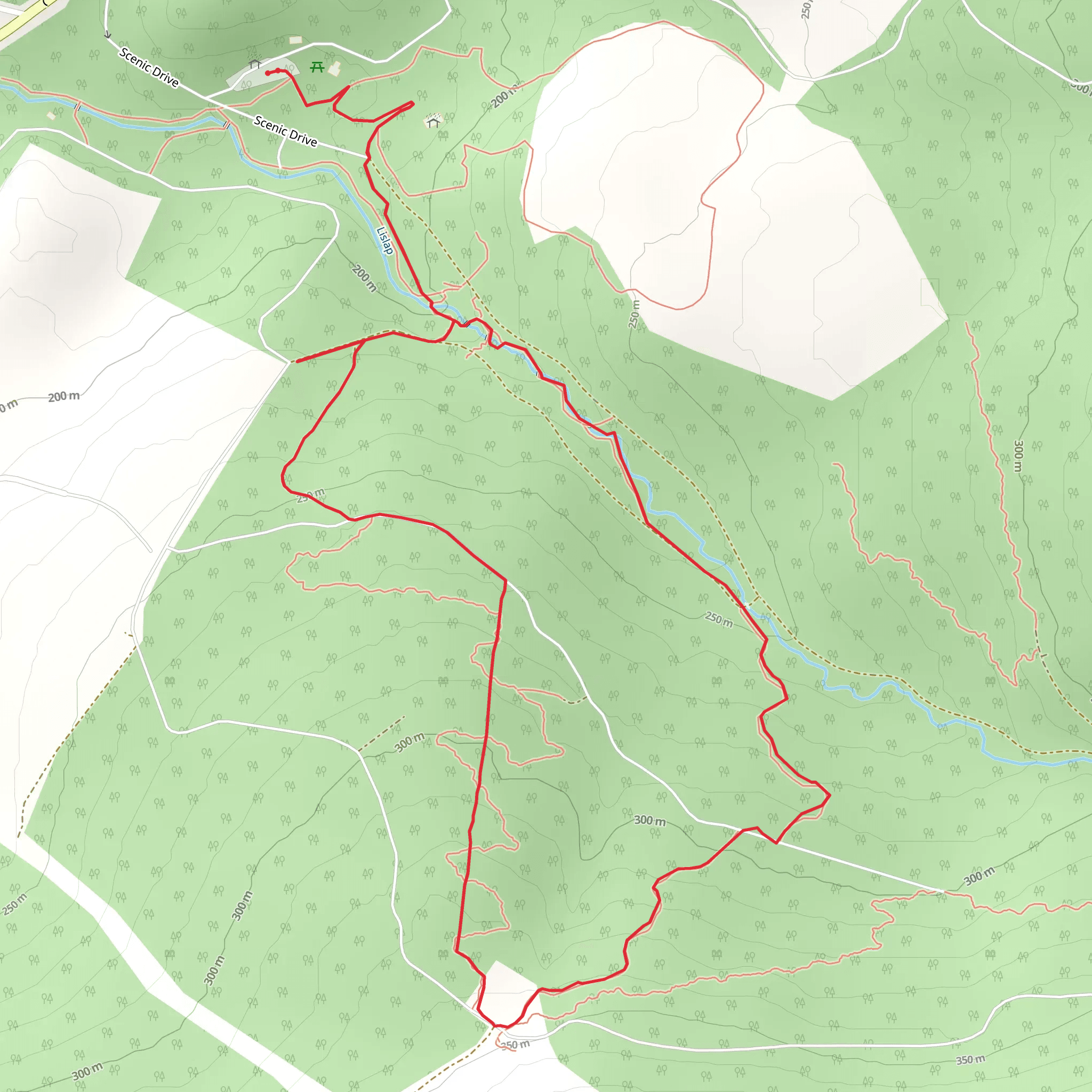 Gortin Forest Ladies View mobile static map