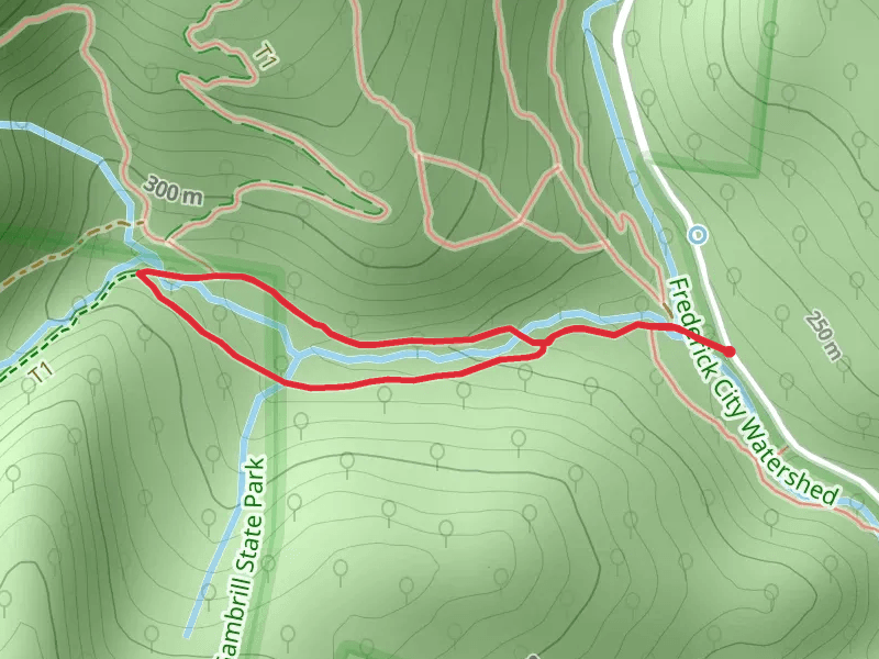 Rocky - Stream Bed Loop Trail