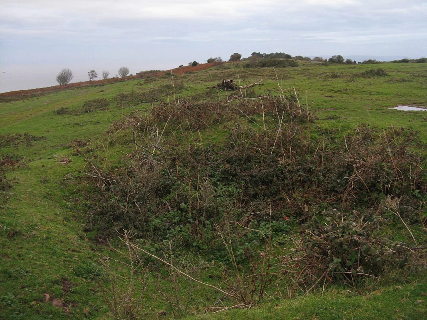 An image depicting the trail Brockholes Loop and its surrounding area.