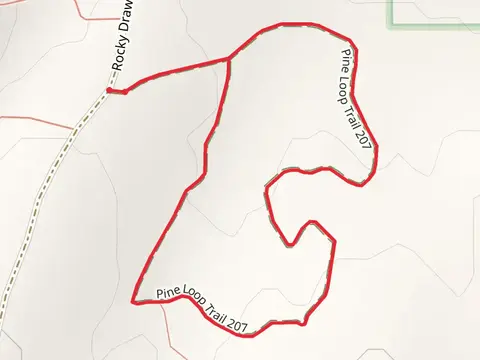 Pine Loop Trail - Rocky Draw Road 50