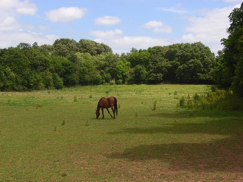 Littlewick Green to Burchett's Green Loop