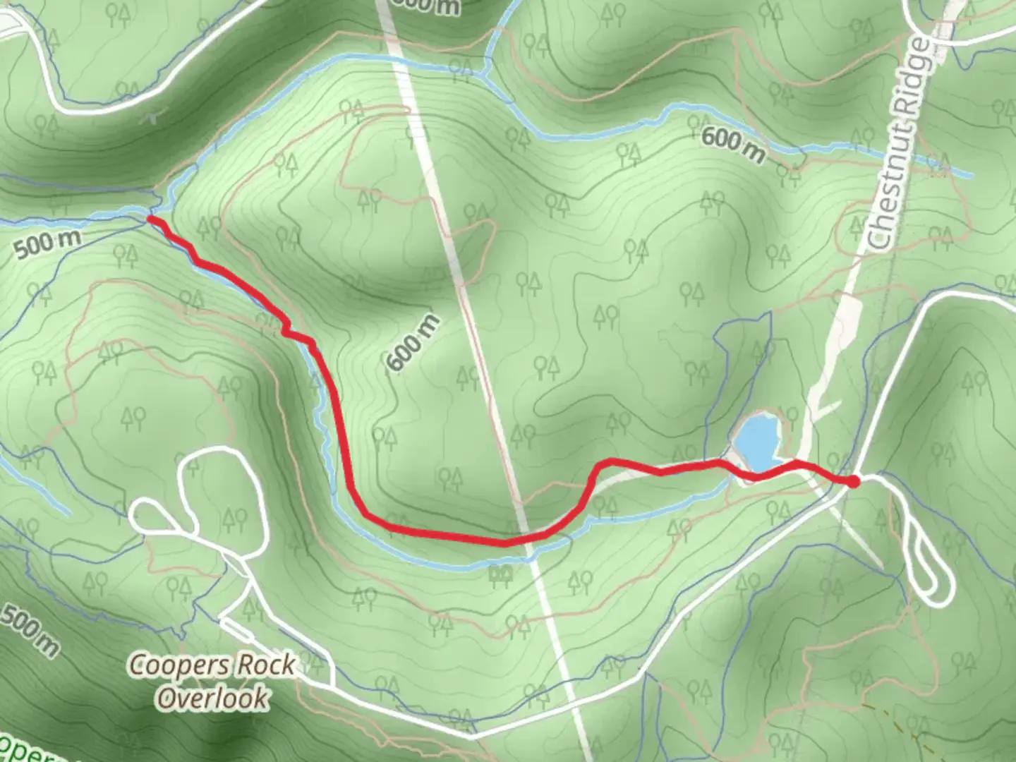 An image depicting the trail Clay Run and its surrounding area.