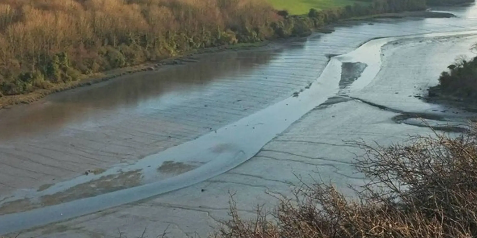An image depicting the trail Padstow From Little Petherick and its surrounding area.