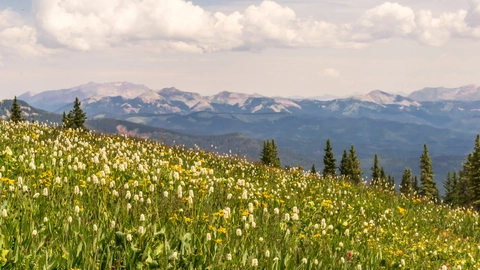 An image depicting the trail Sliderock Trail and its surrounding area.