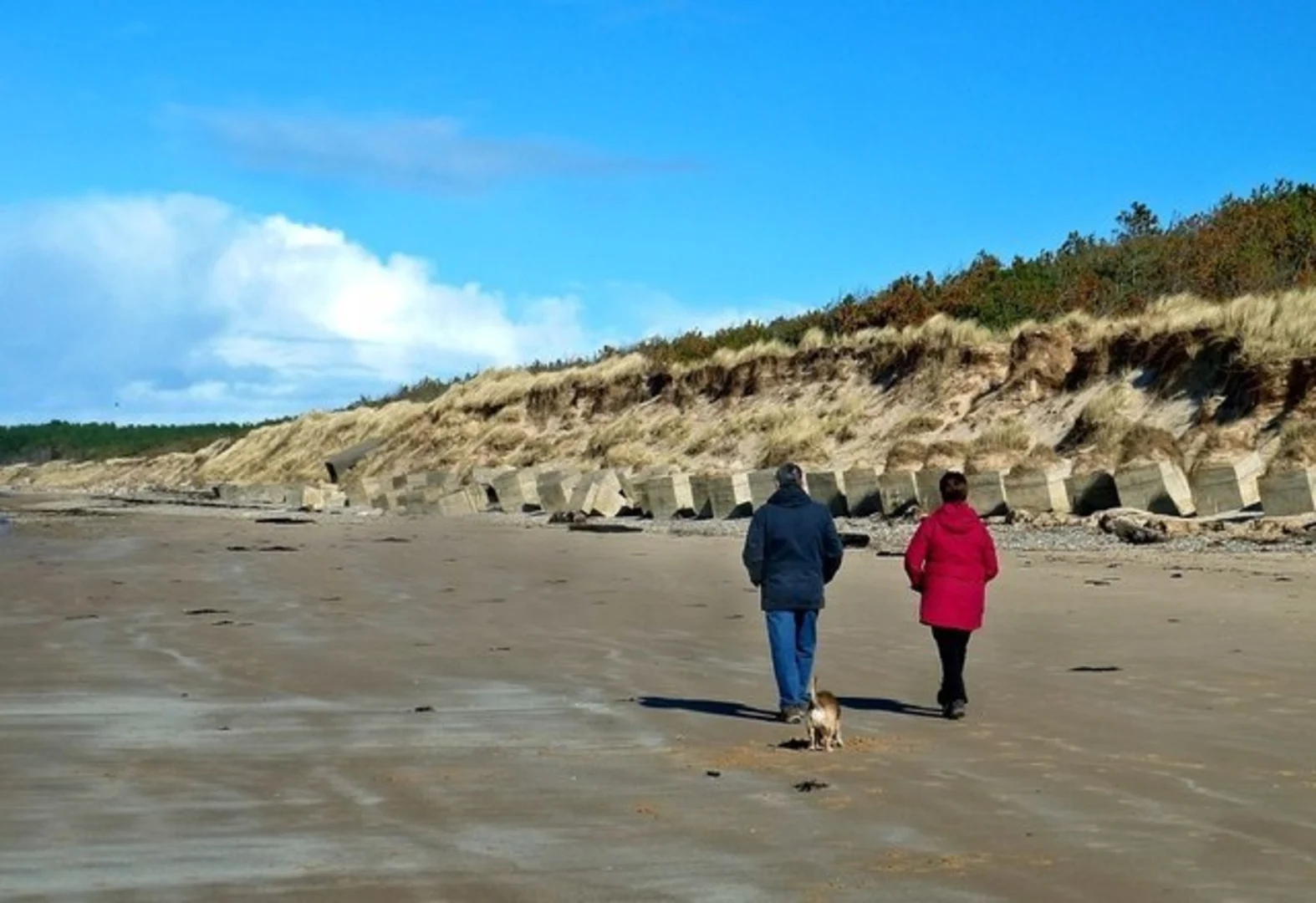An image depicting the trail Millie Bothy Loop - Roseisle Country Park and its surrounding area.