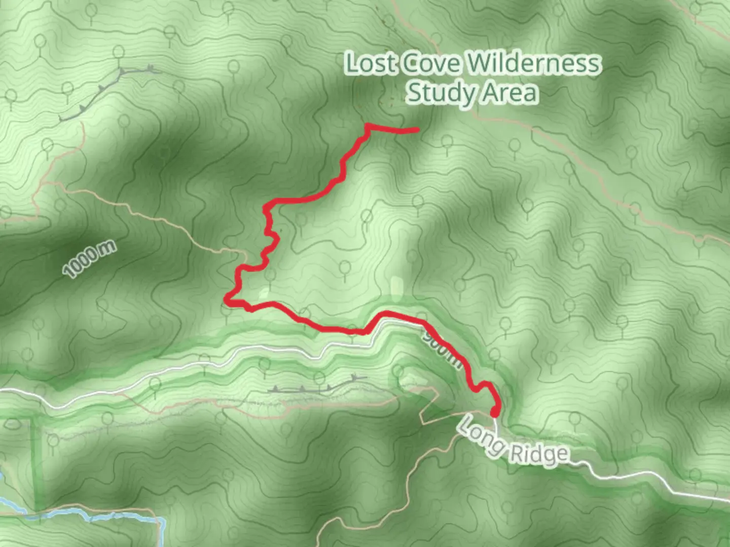 An image depicting the trail Little Lost Cove Creek Walk along and its surrounding area.