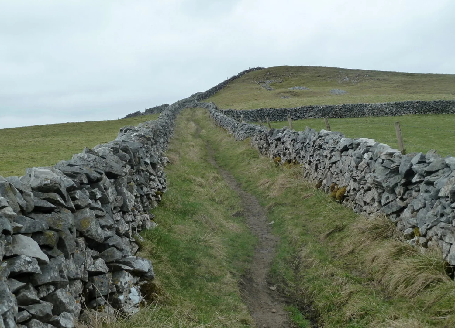 An image depicting the trail Peak Forest - Jewelknoll Plantation - Limestone Way and its surrounding area.