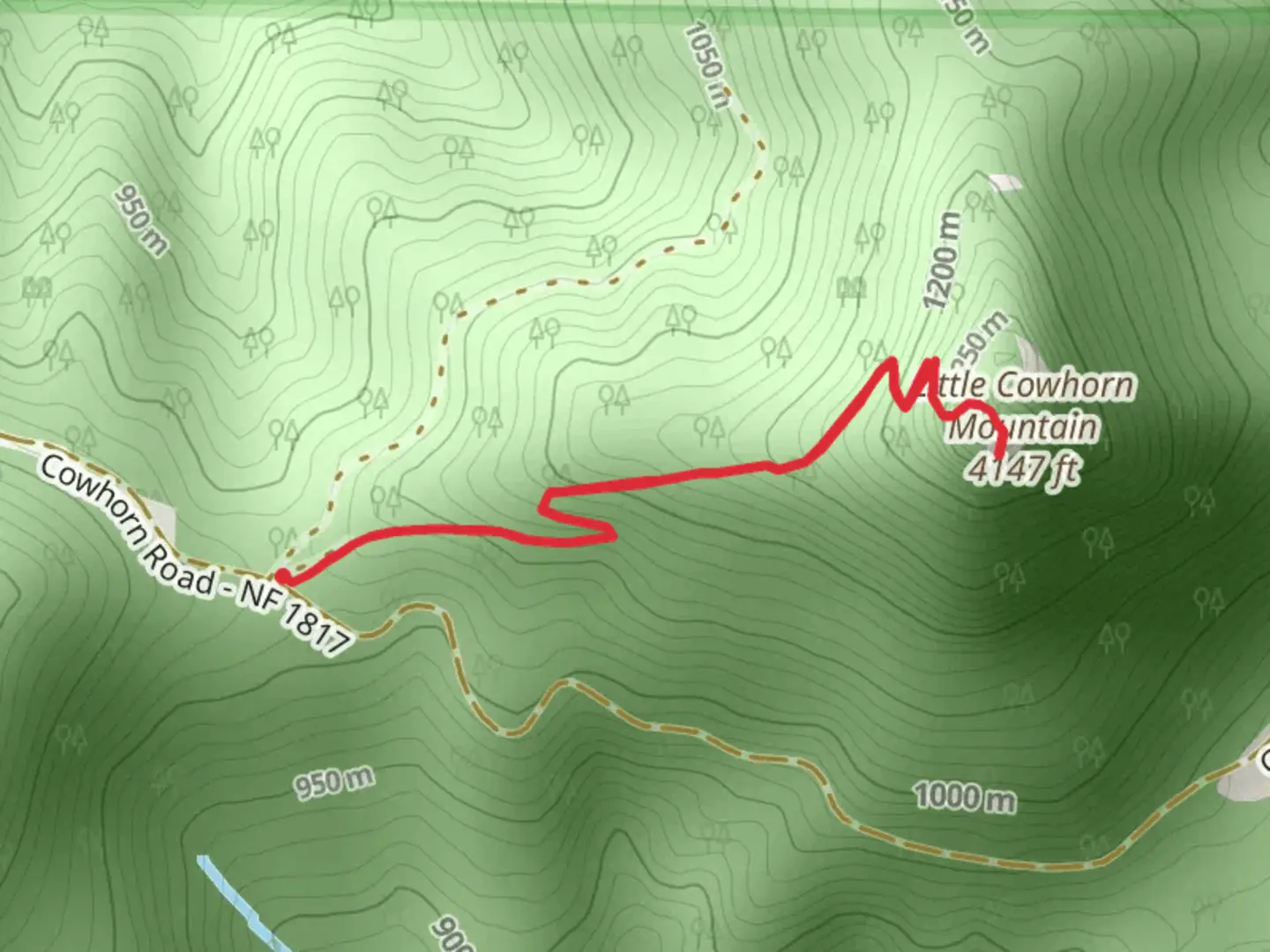 An image depicting the trail Little Cowhorn Trail and its surrounding area.