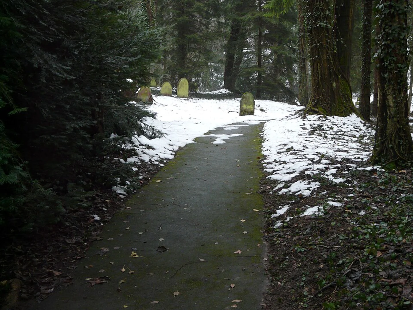 An image depicting the trail Schafhof-Teufelsloch Loop and its surrounding area.
