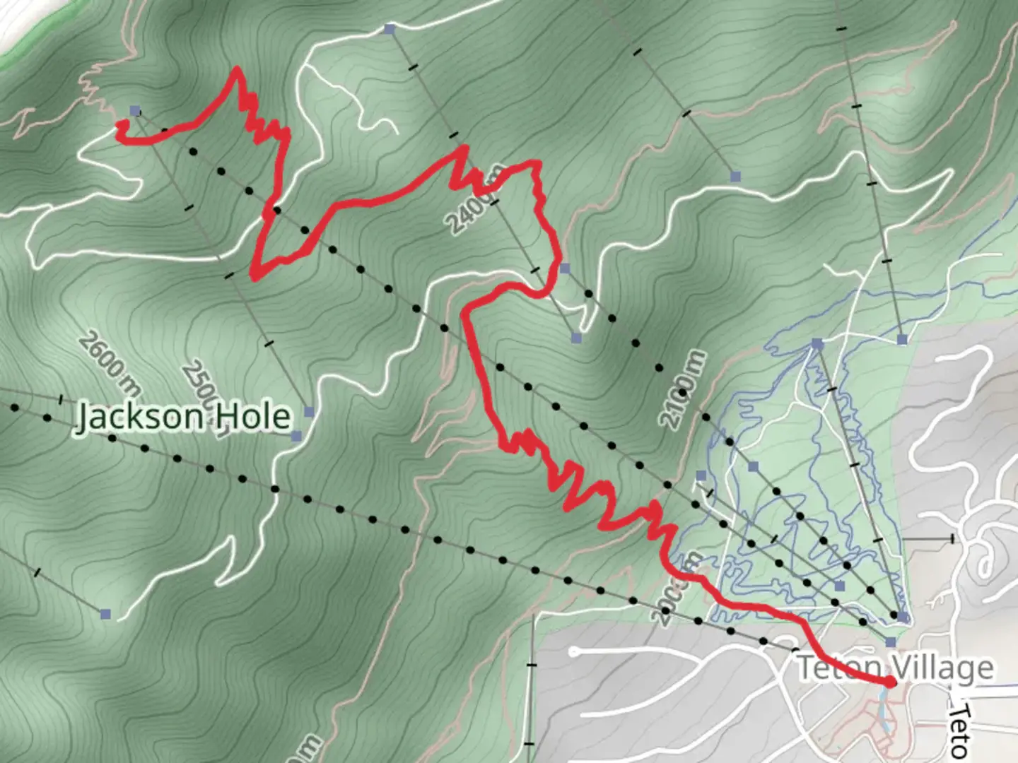 An image depicting the trail Wildflower and its surrounding area.