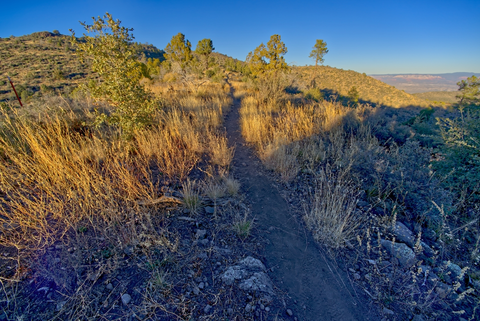 An image depicting the trail Martin Canyon Trail and its surrounding area.