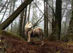 Dan Leadbitter avatar