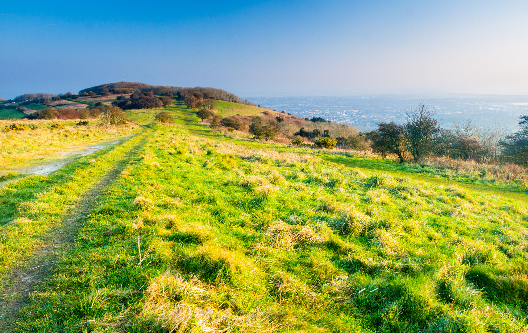 An image depicting the trail 1066 Country Walk and its surrounding area.
