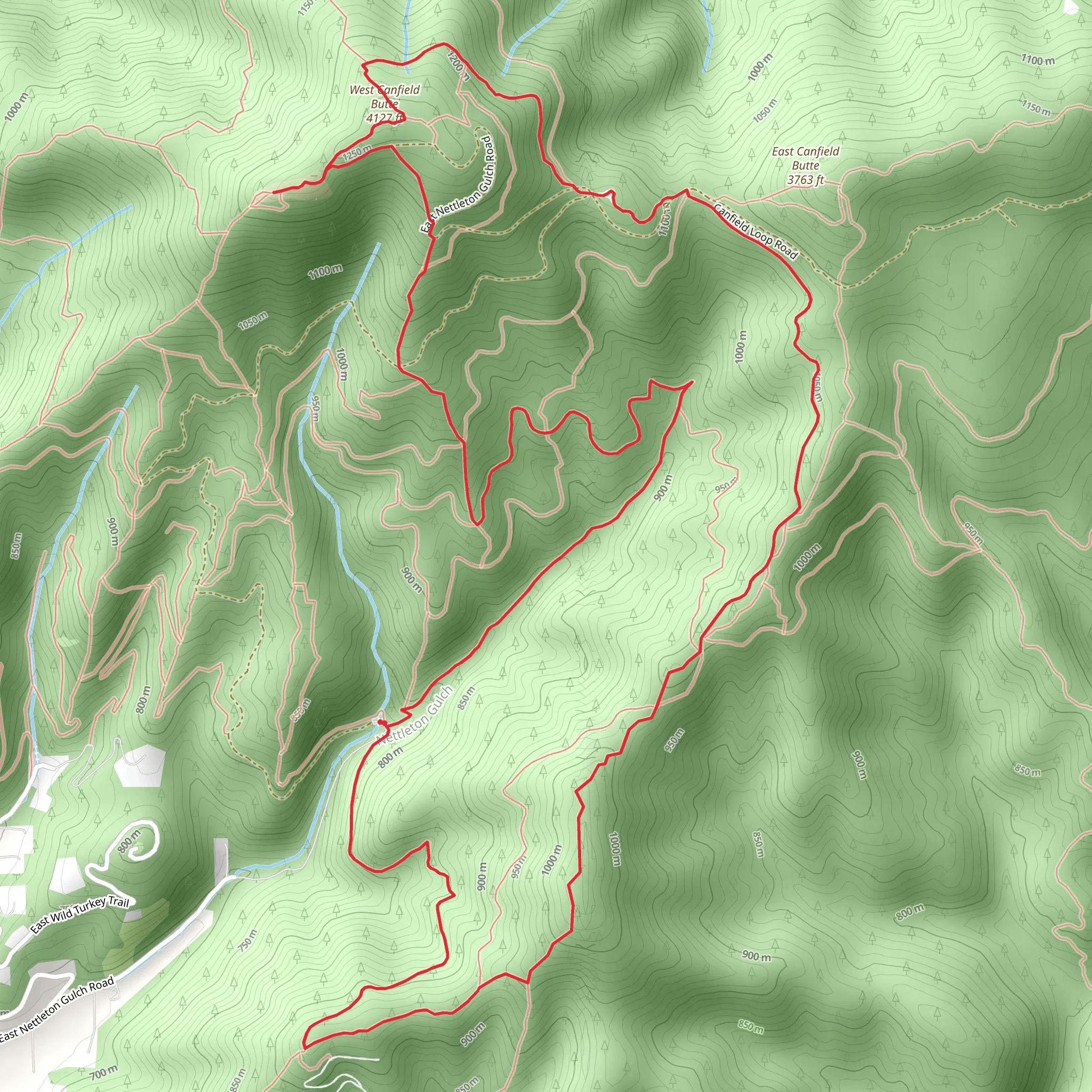 West Canfield Butte via Trail 5 and 8 Loop mobile static map