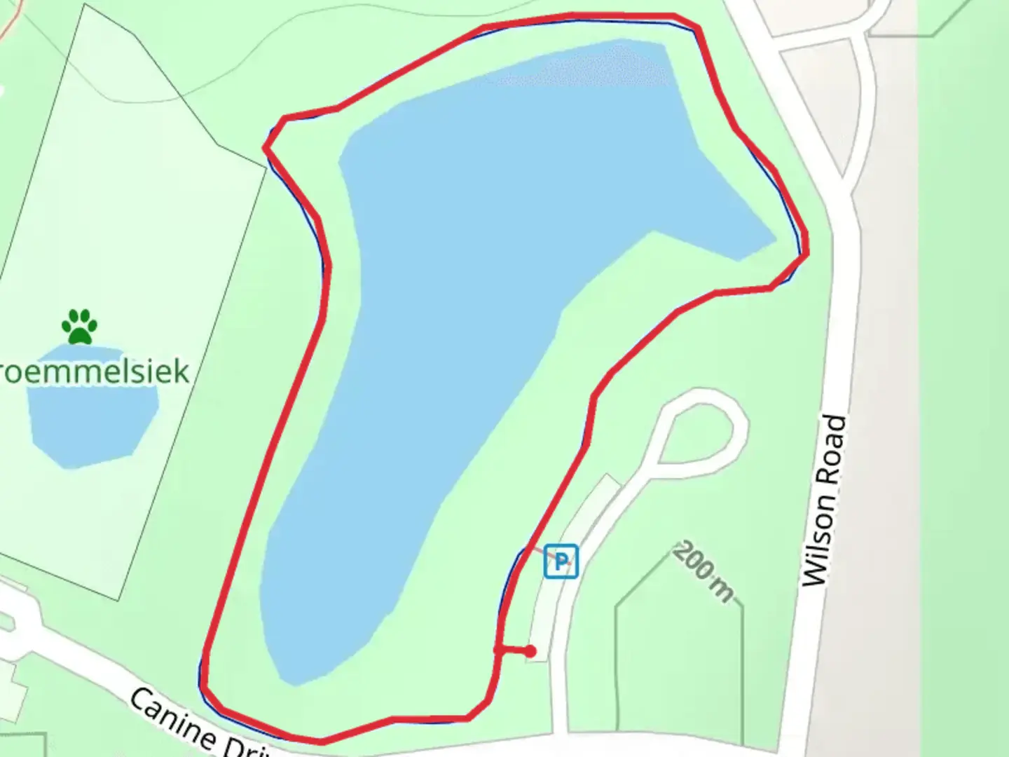 An image depicting the trail Wilson Road Loop and its surrounding area.