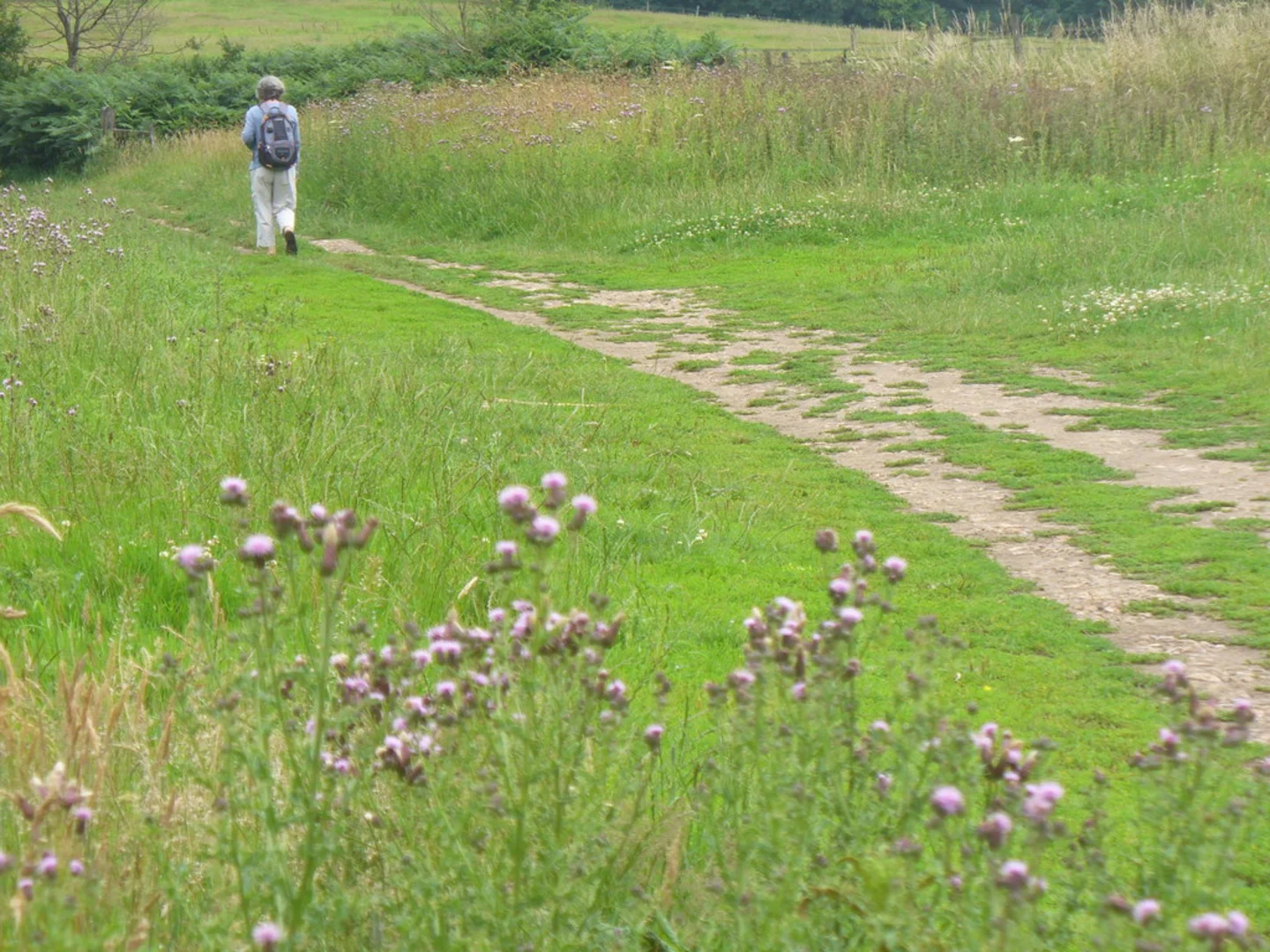 An image depicting the trail Brockham to Nutfield Walk and its surrounding area.