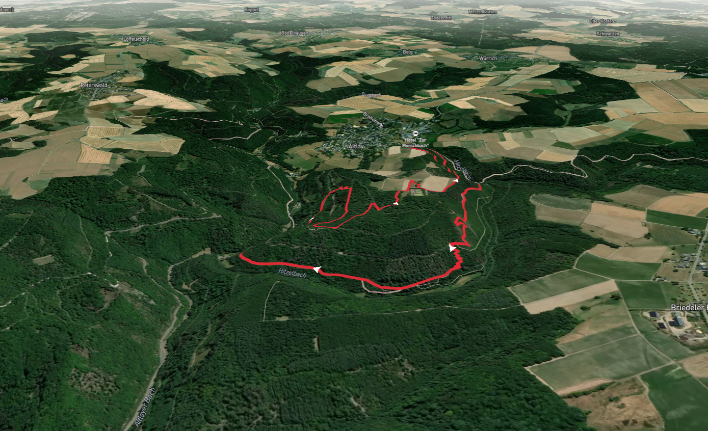 Saar Hunsrück Steig and Traumschleife Altlayer Schweiz Loop