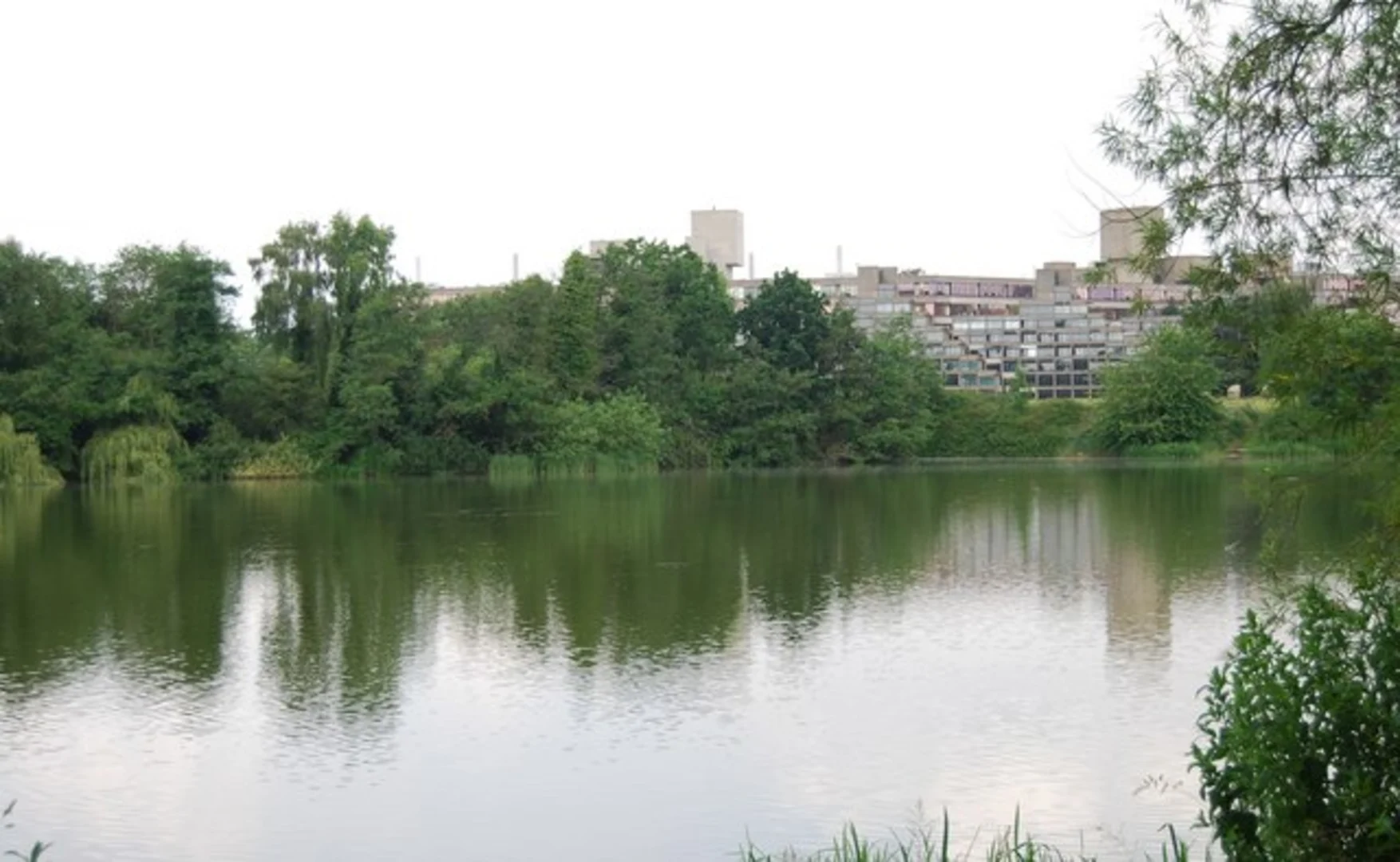 An image depicting the trail Earlham Park and University of East Anglia Broad Loop and its surrounding area.