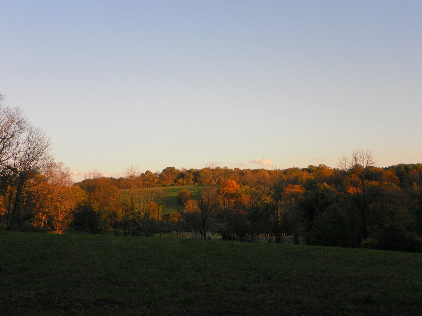 An image depicting the trail Harry J Waite Jr Nature Area Red Loop Trail and its surrounding area.