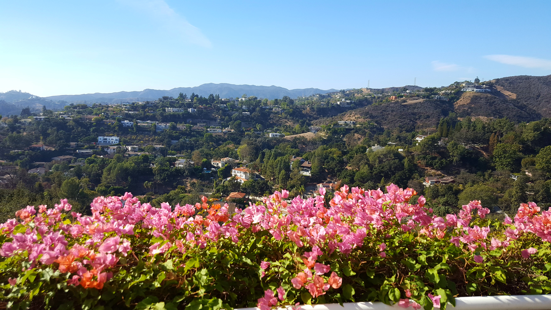 An image depicting the trail West Mandeville Ridge Trail and Samurai Loop Trail and its surrounding area.