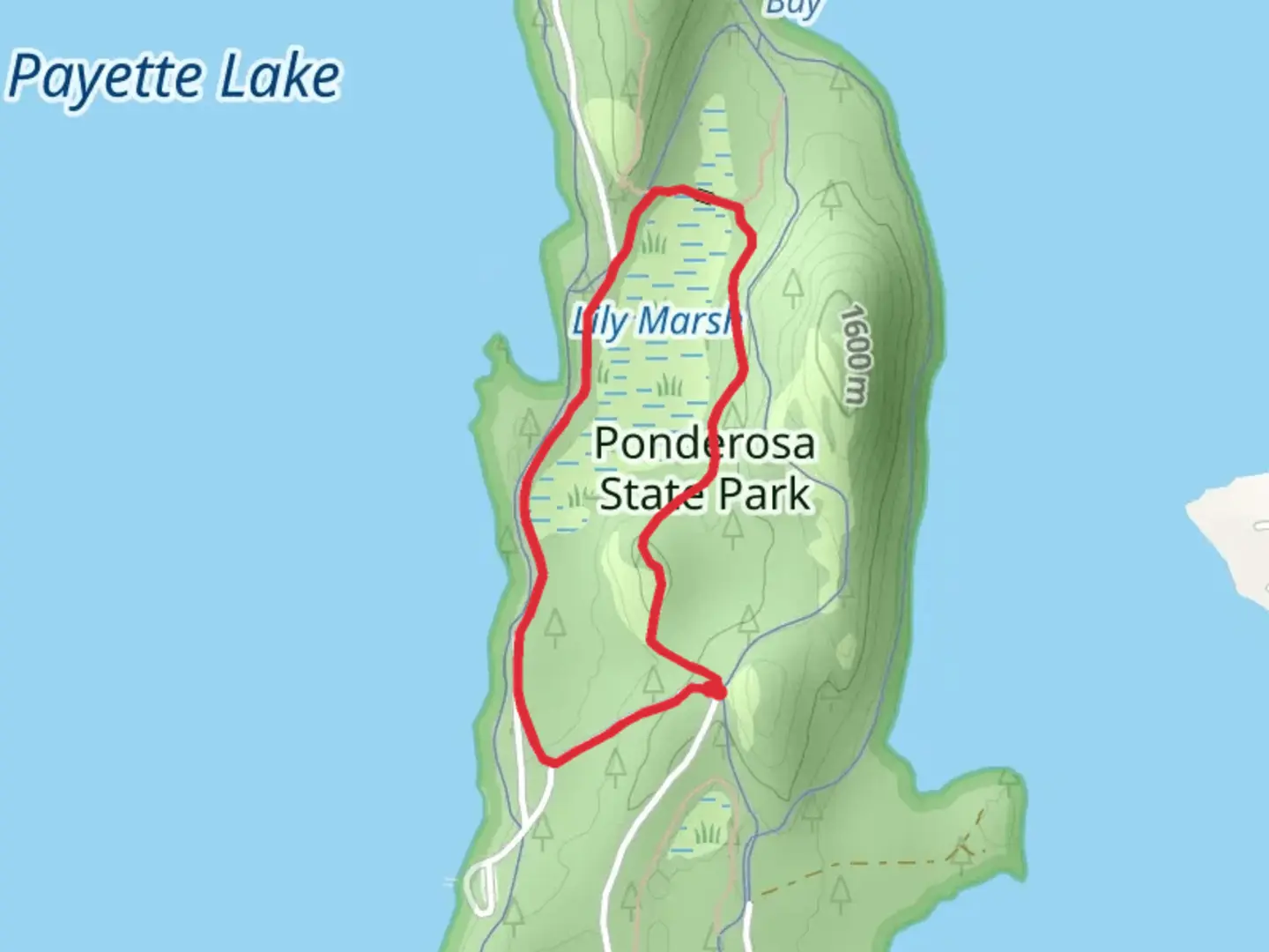 An image depicting the trail Lilly Marsh, Lakeside and Easy Does It Loop and its surrounding area.