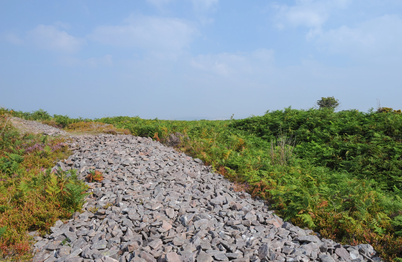 An image depicting the trail Dunster and Marsh and its surrounding area.