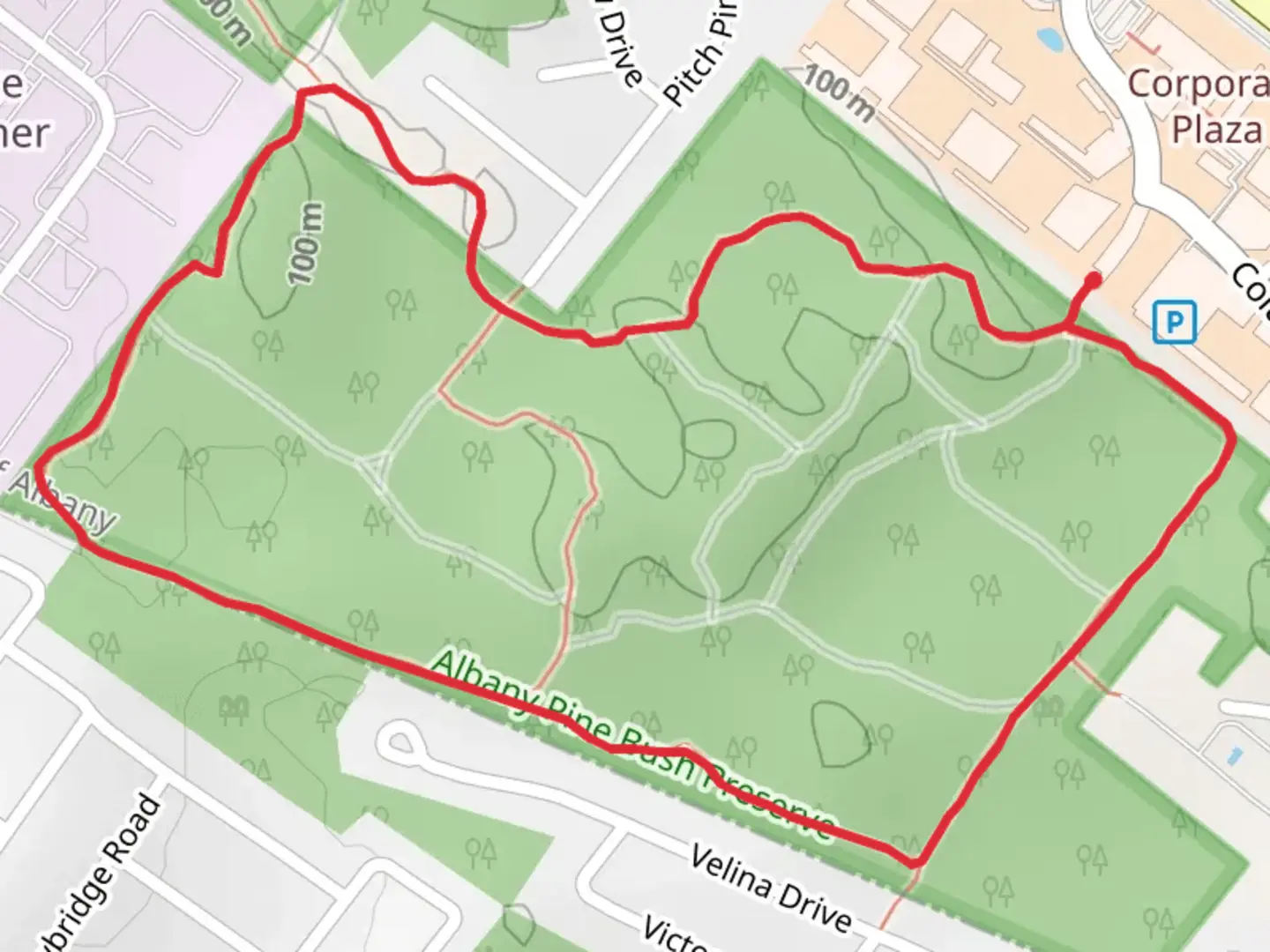 An image depicting the trail Blueberry Hill East Yellow Trail and its surrounding area.