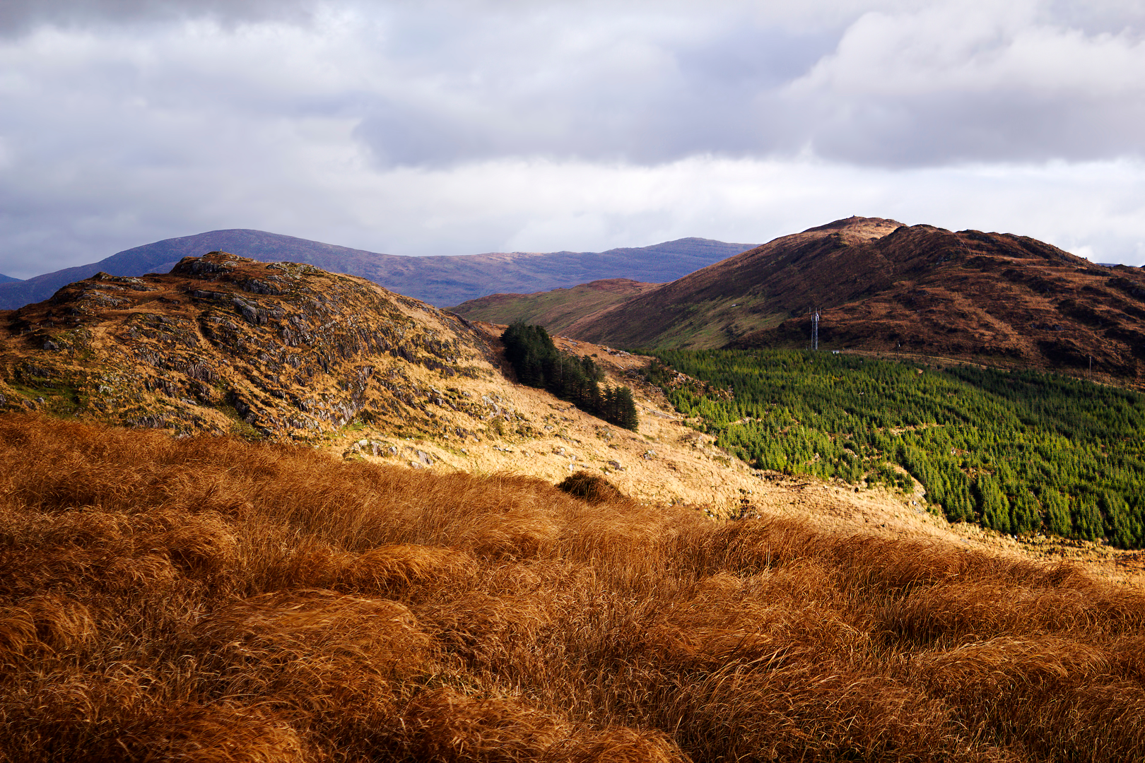 An image depicting the trail Cailleach Beara Loop - Bonane Beara and its surrounding area.