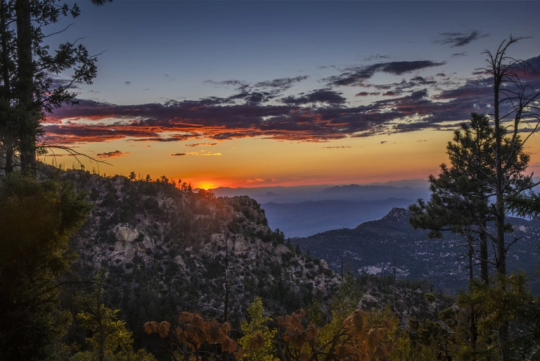 An image depicting the trail Box Camp Trail and its surrounding area.