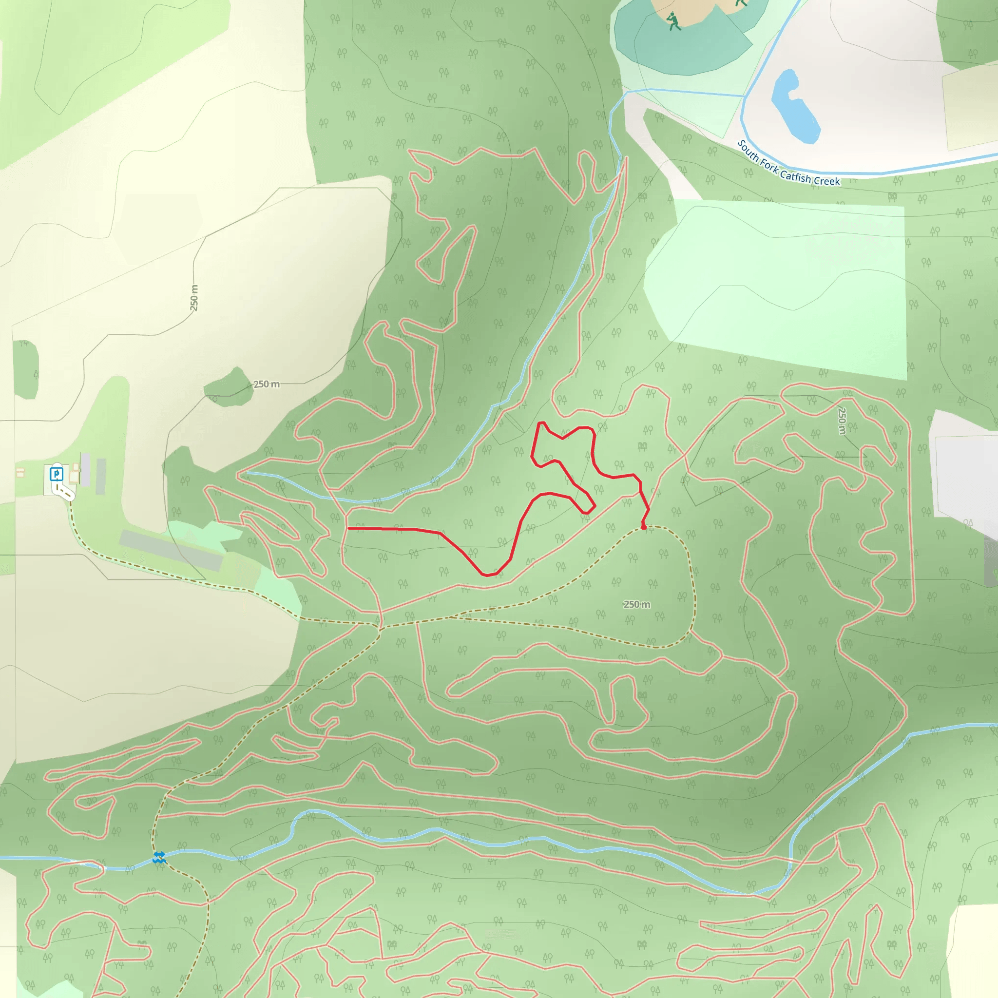 FDR Park Walk mobile static map