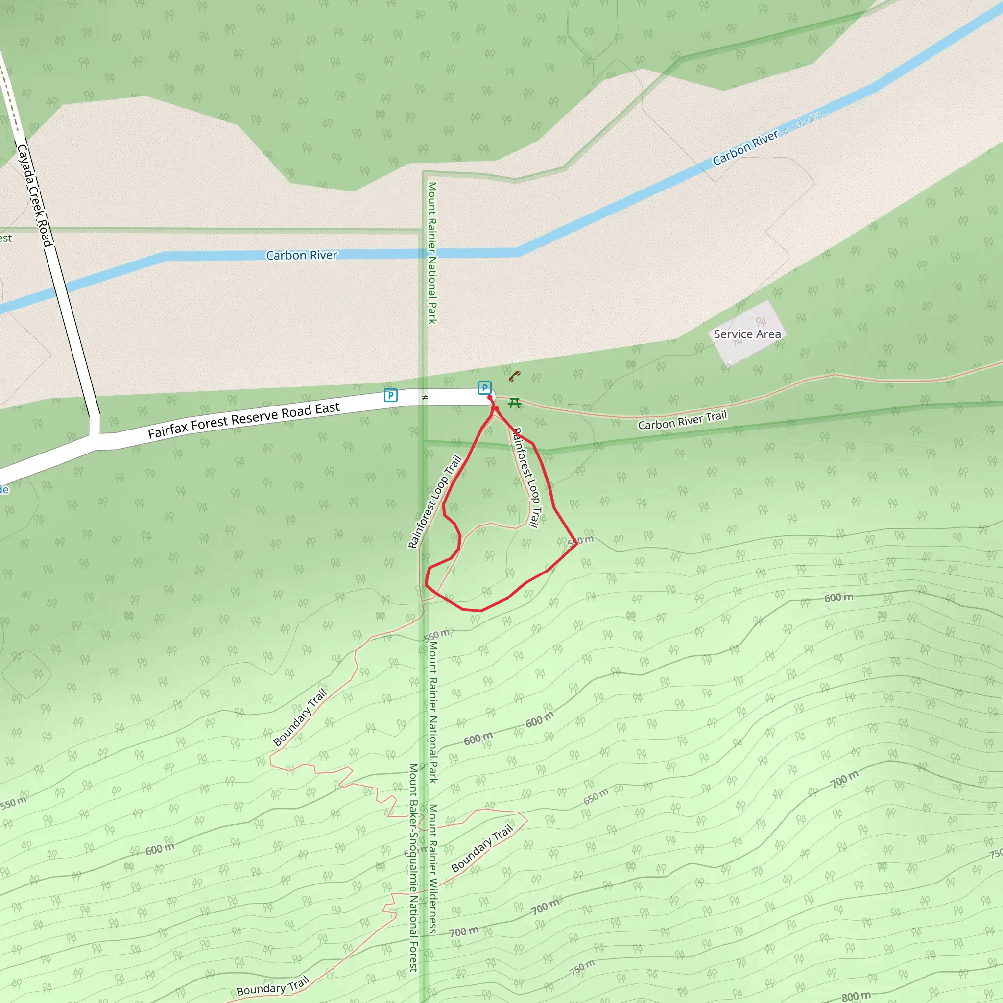 Carbon River Rain Forest Nature Trail mobile static map