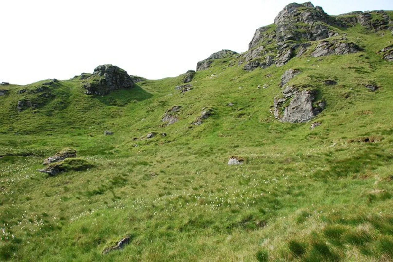 An image depicting the trail The Brack and its surrounding area.