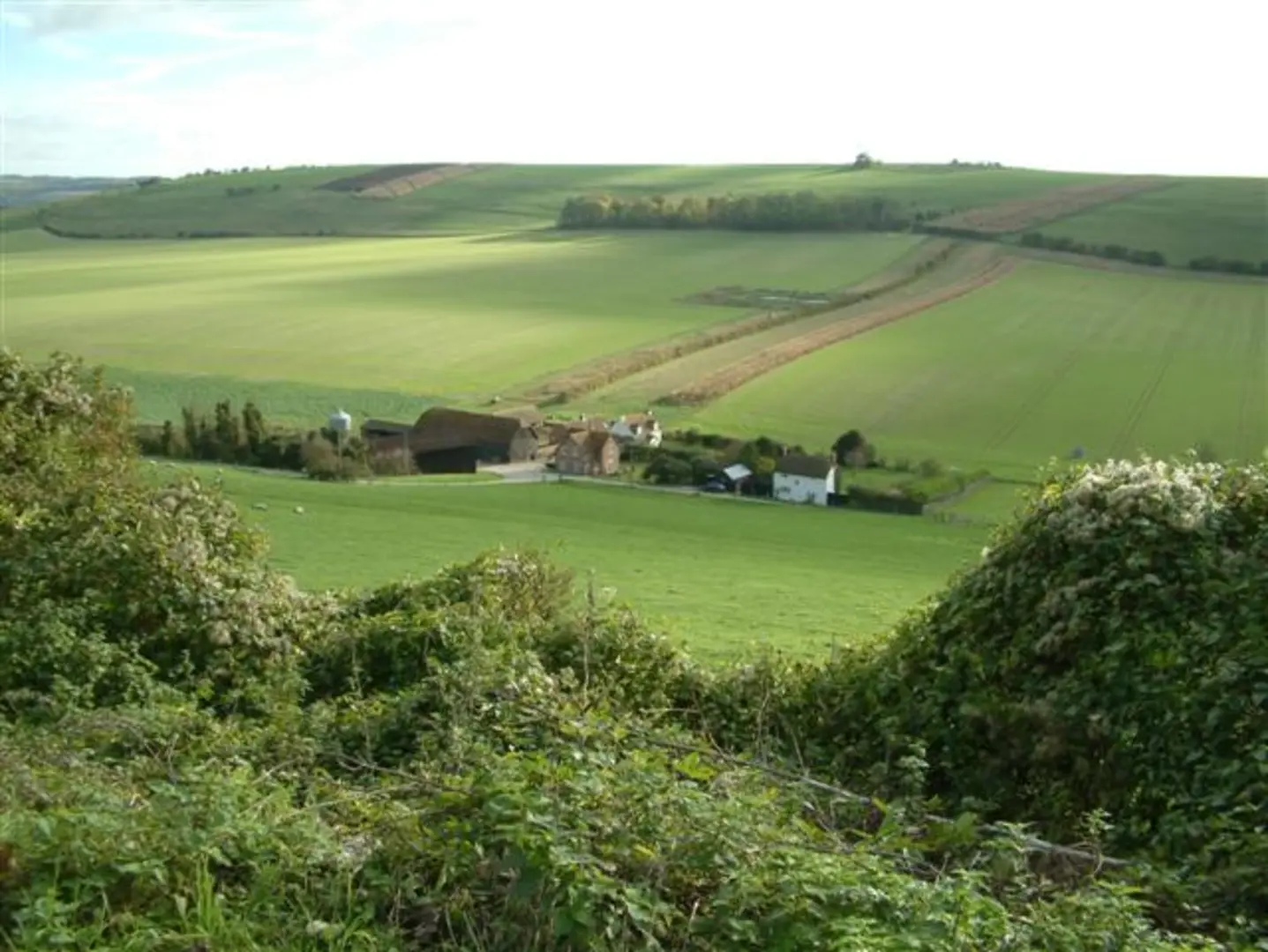 An image depicting the trail Unhill Wood Loop and its surrounding area.