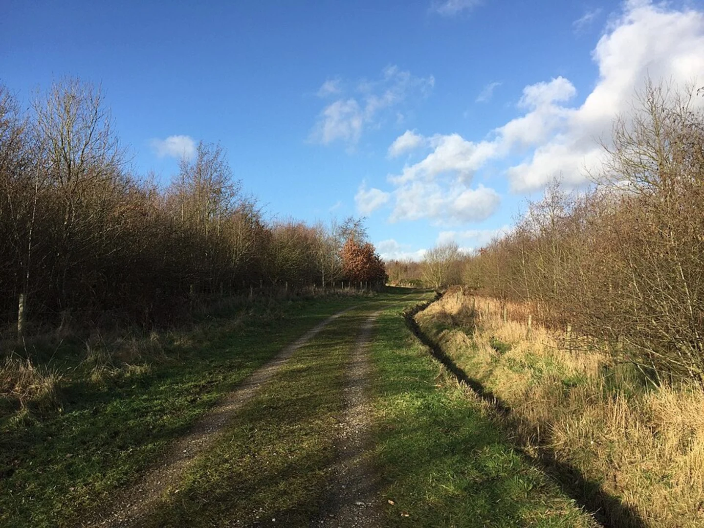 An image depicting the trail Silverdale Community Park and Apedale Community Country Park Loop and its surrounding area.