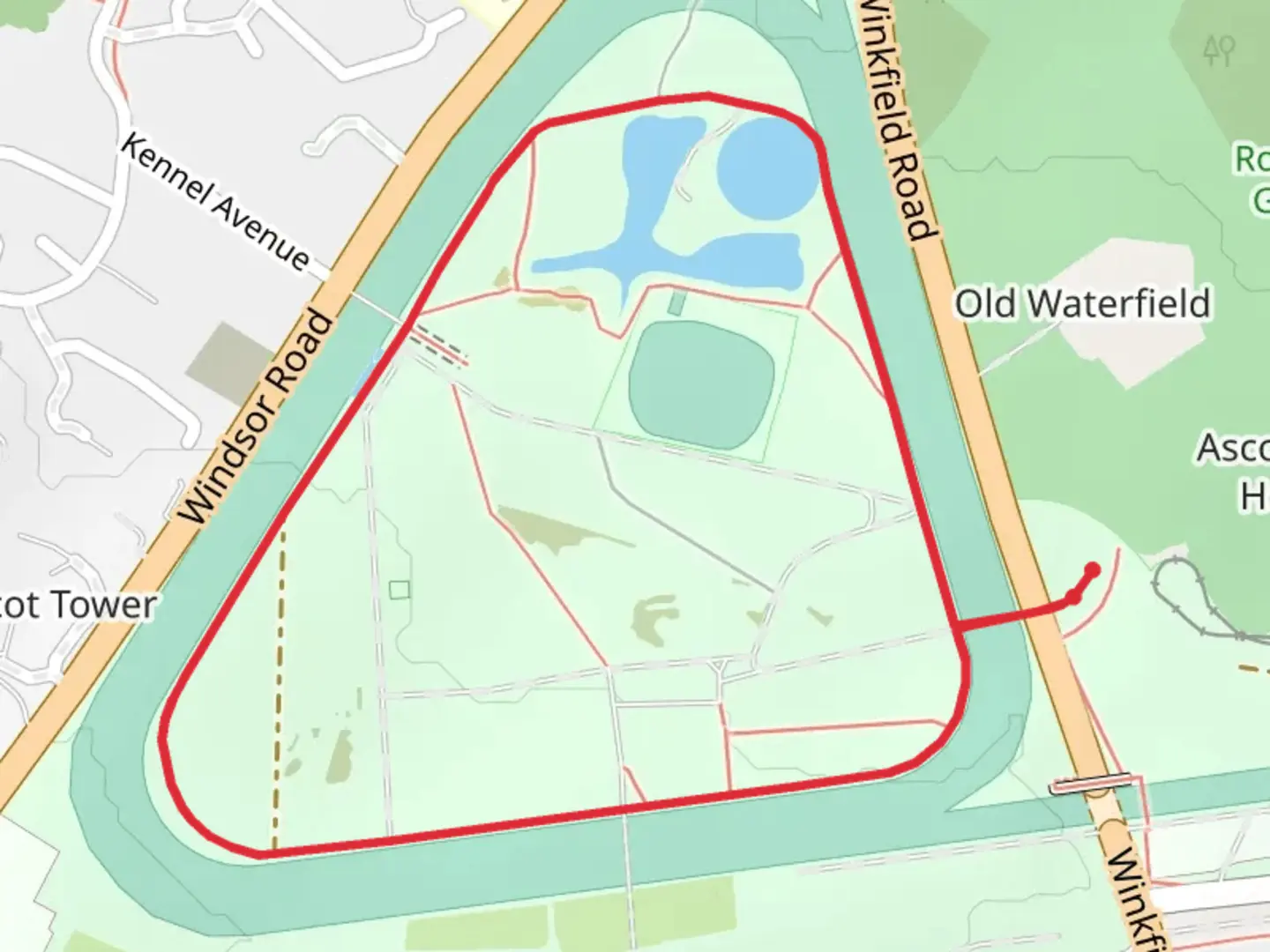 An image depicting the trail Ascot Heath Loop and its surrounding area.