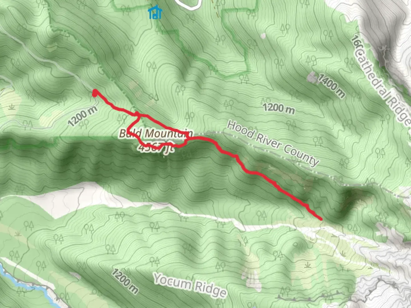 An image depicting the trail Timberline Trail and Mount Hood Timberline Trail and its surrounding area.