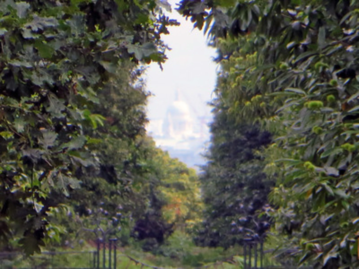 An image depicting the trail King Henry Mound and Richmond Park Loop and its surrounding area.