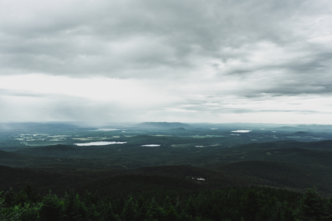 An image depicting the trail Weeks Brook Trail and its surrounding area.