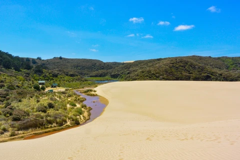 An image depicting the trail Te Paki Coastal Track and its surrounding area.