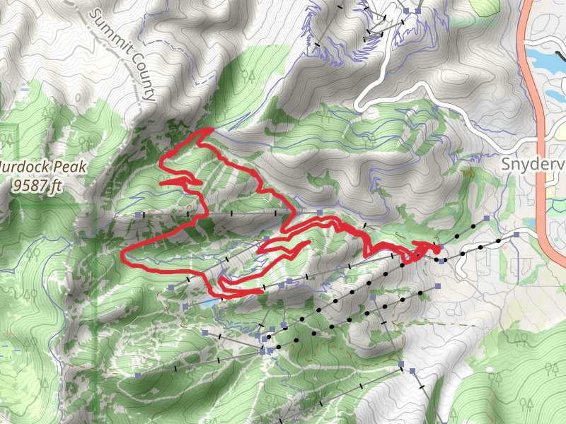 Big Mountain Trail and Holly's Loop