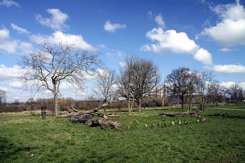 Shepherd's Bush to Southhall Loop