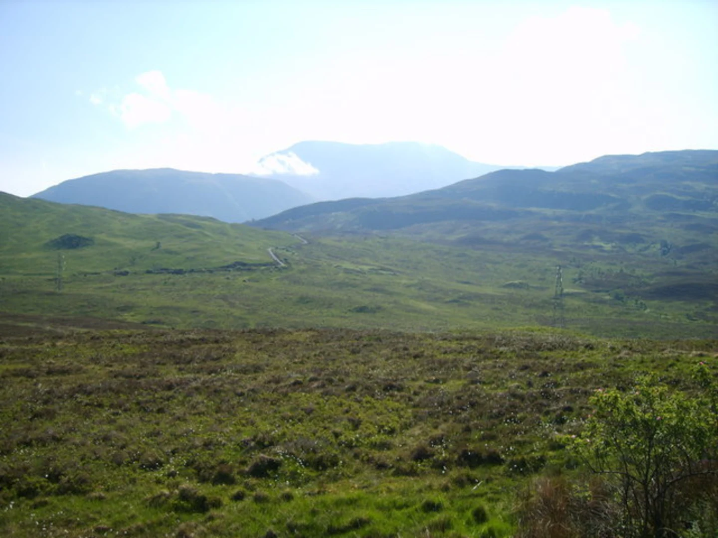 An image depicting the trail Cow Hill Loop - Fort William and its surrounding area.