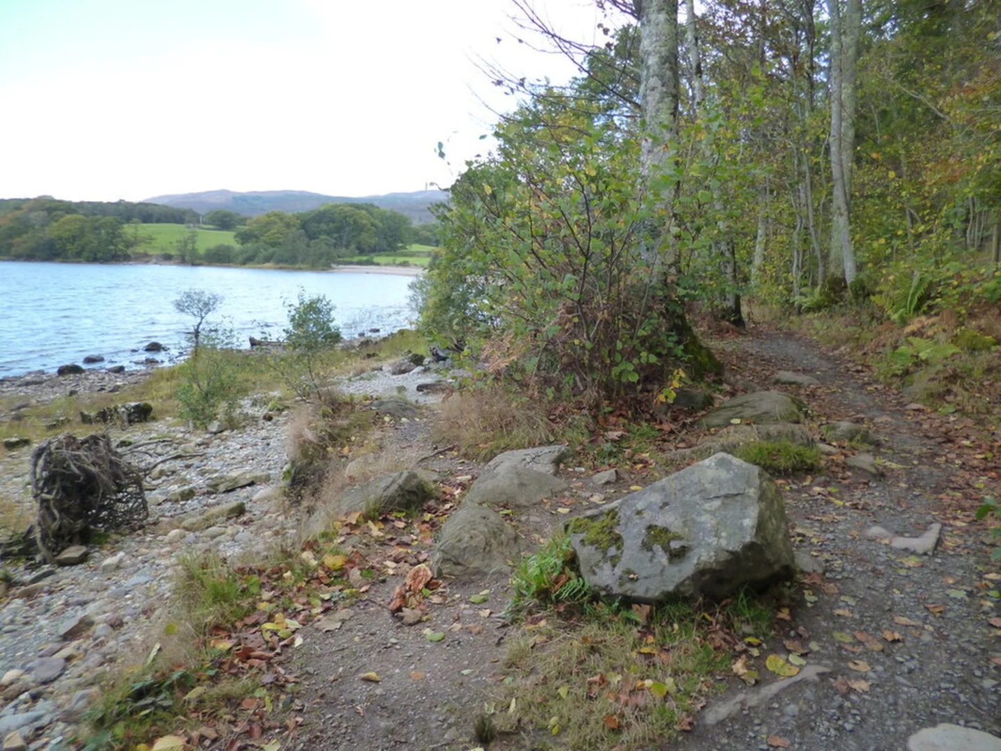An image depicting the trail Balmaha Forest Walk and its surrounding area.