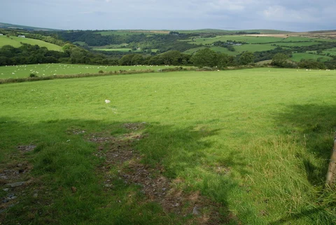 Cwm Gwaun - Gelli Fawr