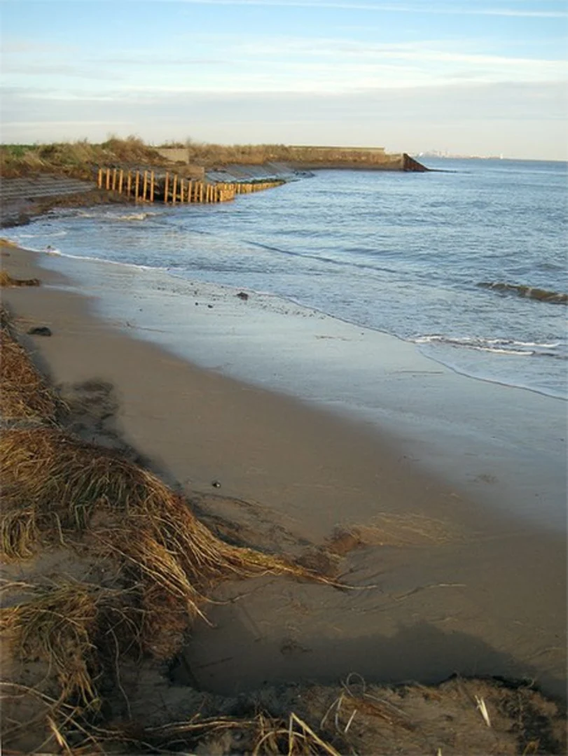 An image depicting the trail Irlam's Beach and its surrounding area.