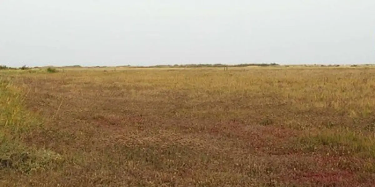 Bradwell on Sea Circular