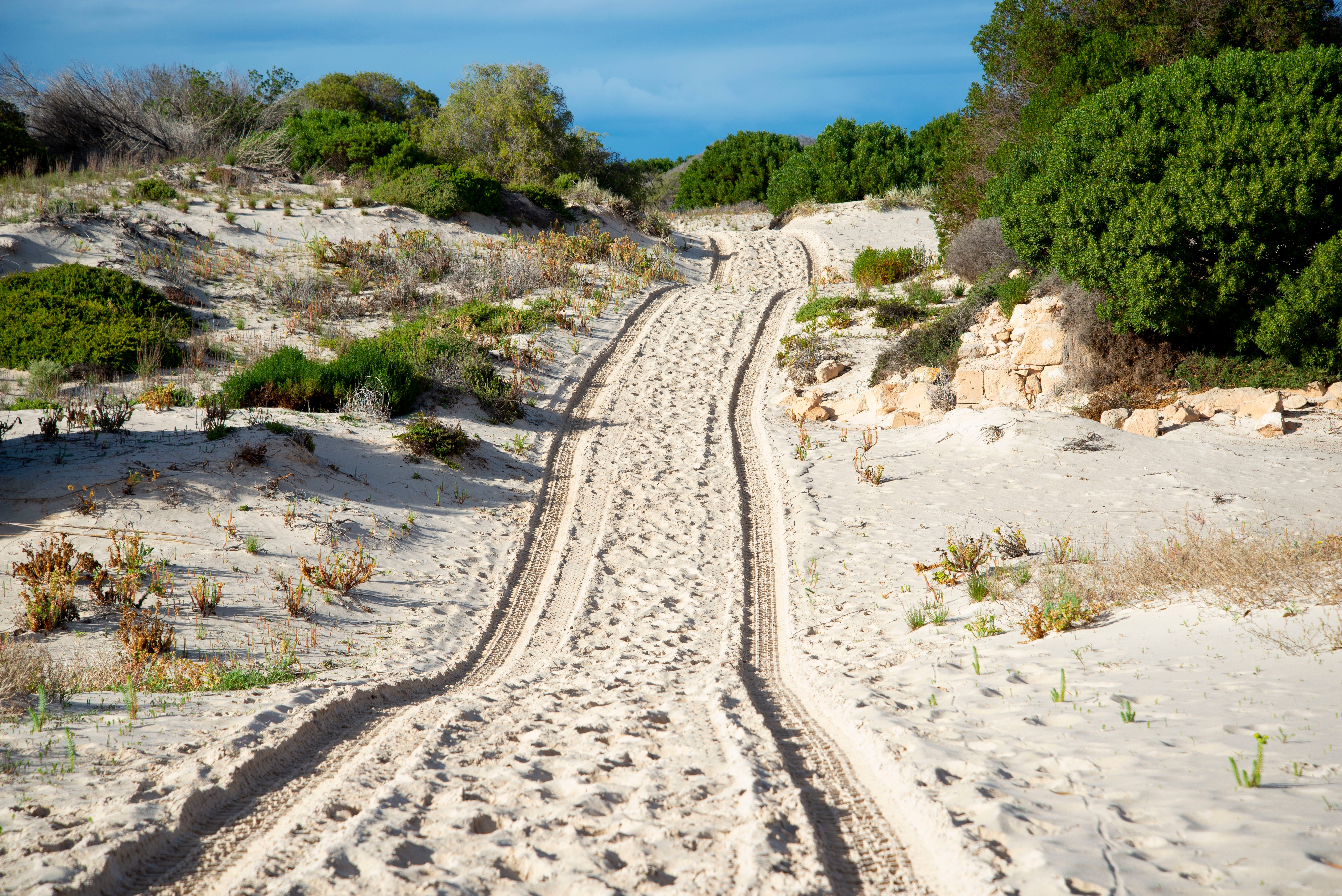 An image depicting the trail Eucla National Park and its surrounding area.