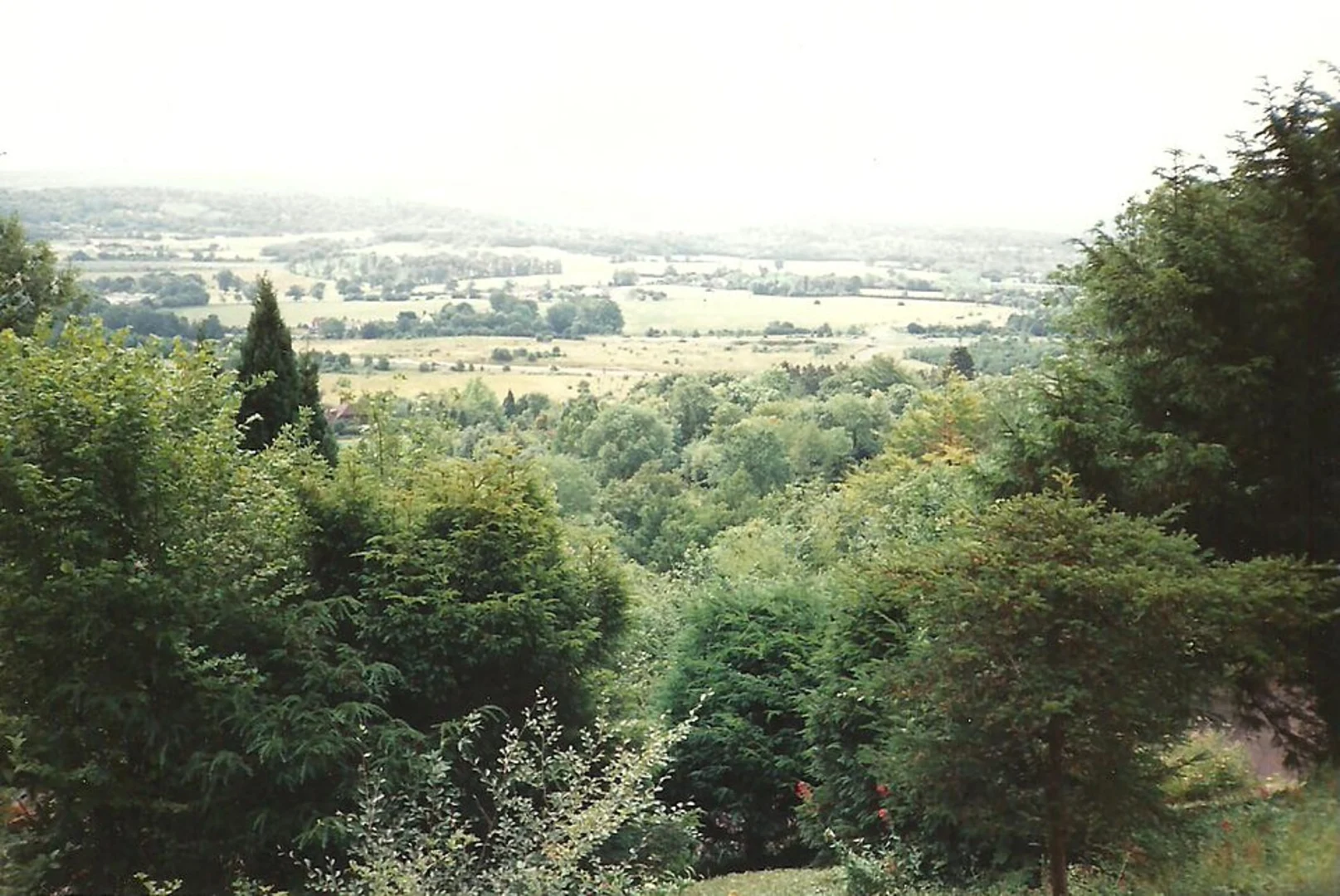 An image depicting the trail Trosley Country Park Walk and its surrounding area.