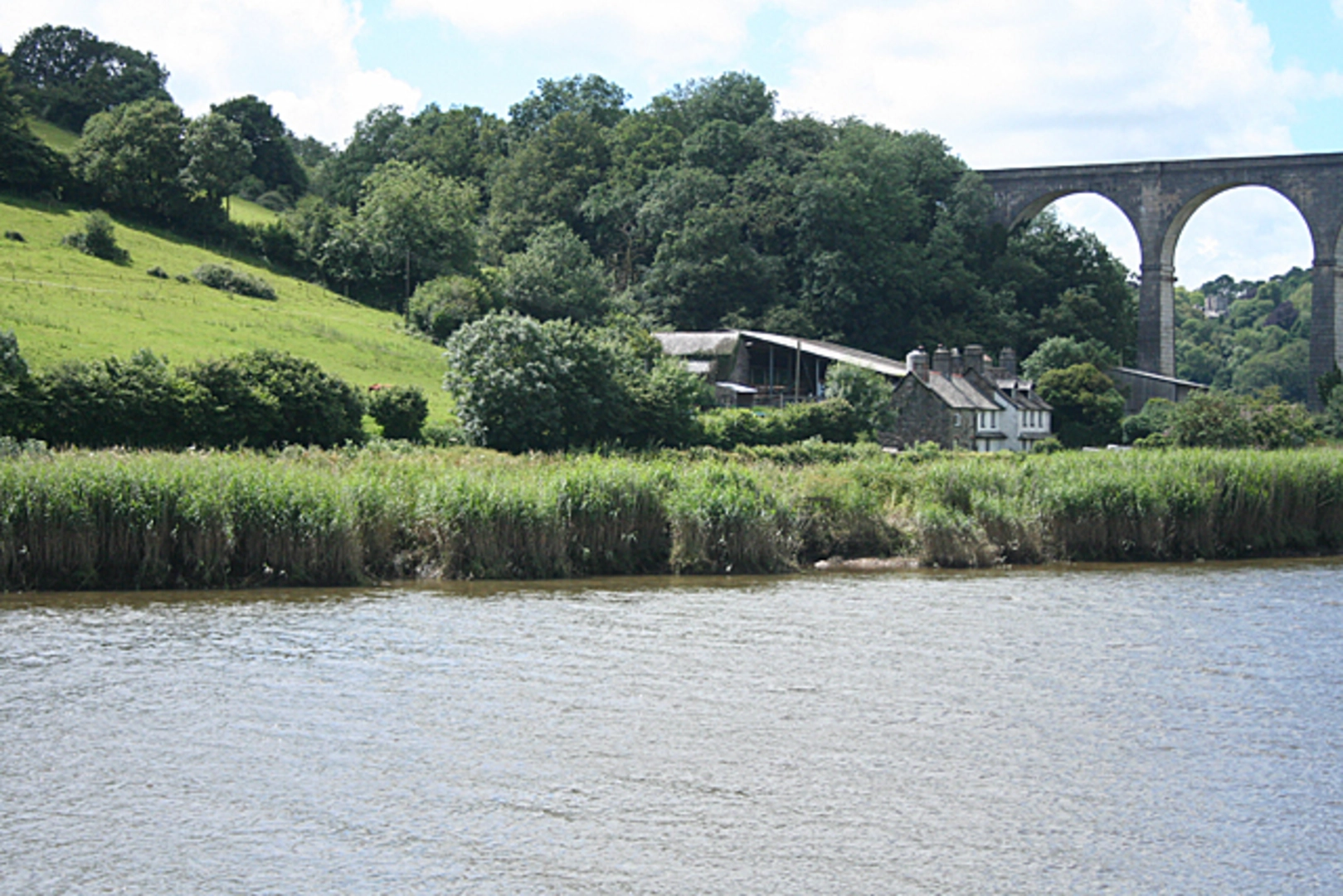 An image depicting the trail Tamara Coast to Coast Way and its surrounding area.