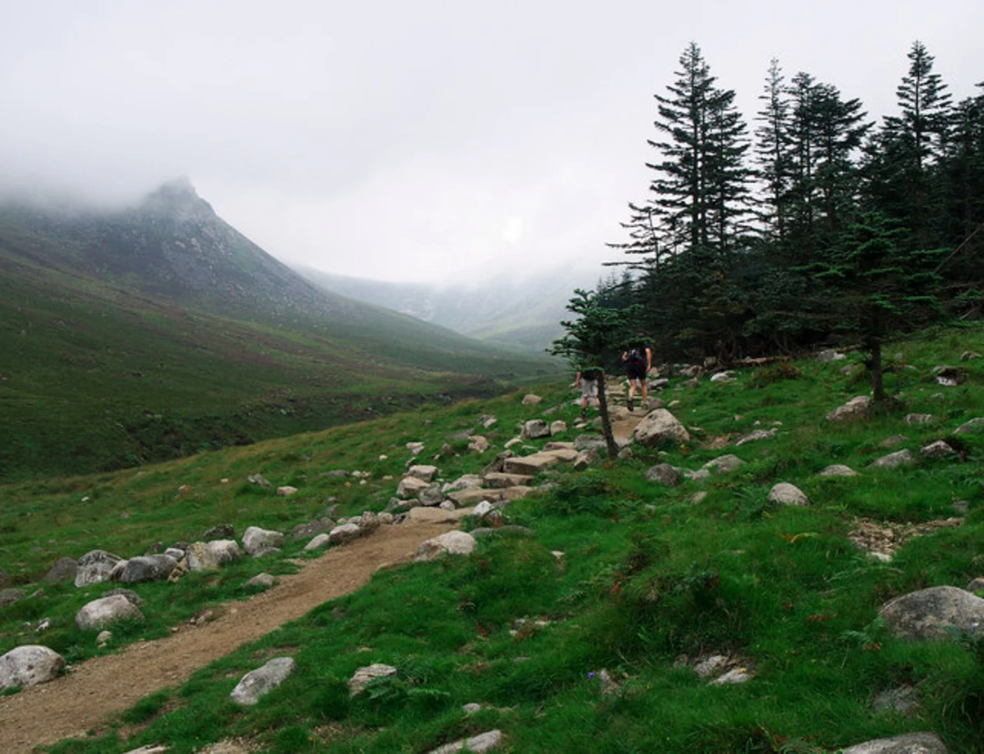 An image depicting the trail Donard Forest Walk and its surrounding area.